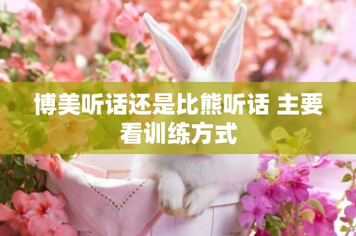 博美聽話還是比熊聽話 主要看訓練方式