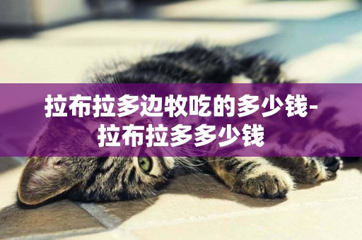 拉布拉多邊牧吃的多少錢-拉布拉多多少錢