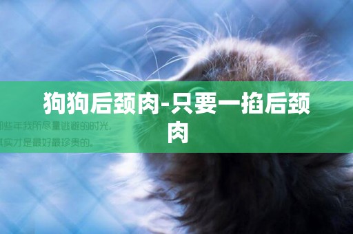 狗狗后頸肉-只要一掐后頸肉