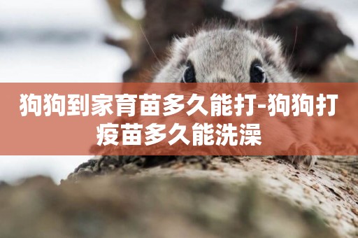 狗狗到家育苗多久能打-狗狗打疫苗多久能洗澡