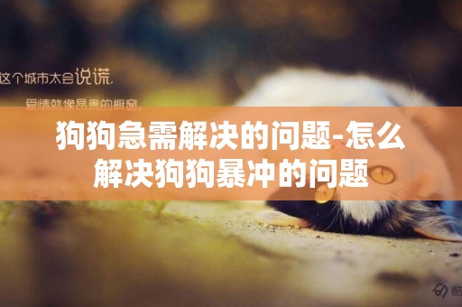 狗狗急需解決的問題-怎么解決狗狗暴沖的問題