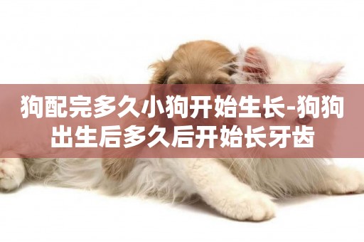 狗配完多久小狗開始生長-狗狗出生后多久后開始長牙齒