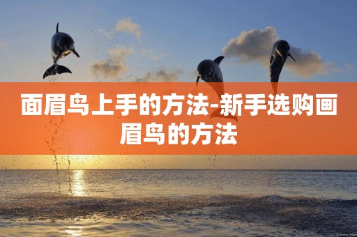 面眉鳥上手的方法-新手選購畫眉鳥的方法