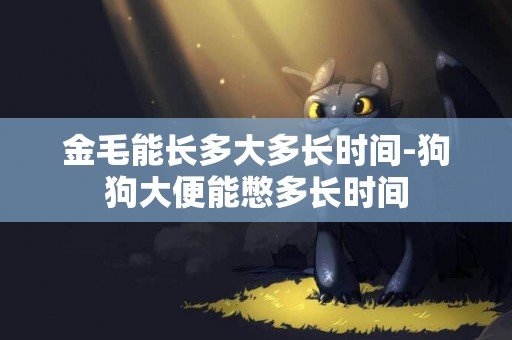 金毛能長多大多長時間-狗狗大便能憋多長時間