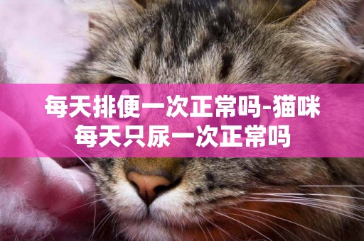 每天排便一次正常嗎-貓咪每天只尿一次正常嗎