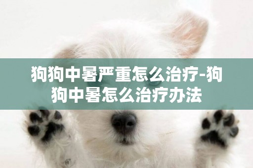 狗狗中暑嚴重怎么治療-狗狗中暑怎么治療辦法