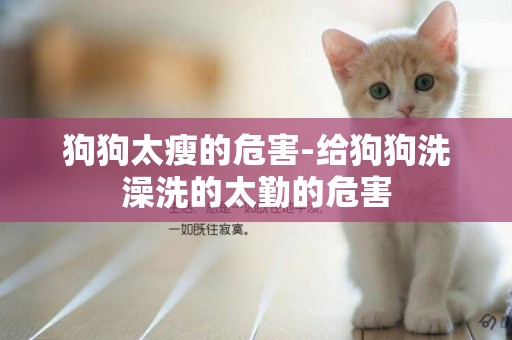狗狗太瘦的危害-給狗狗洗澡洗的太勤的危害