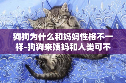 狗狗為什么和媽媽性格不一樣-狗狗來姨媽和人類可不一樣