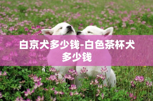 白京犬多少錢-白色茶杯犬多少錢