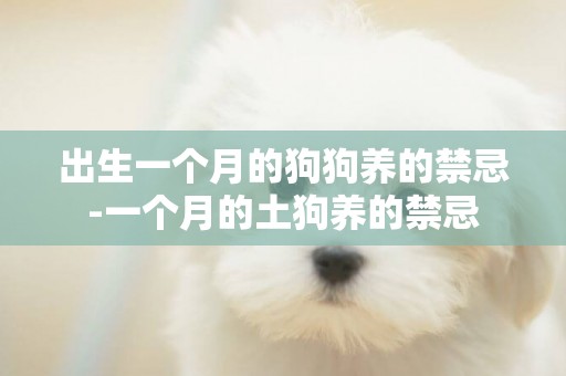 出生一個月的狗狗養的禁忌-一個月的土狗養的禁忌