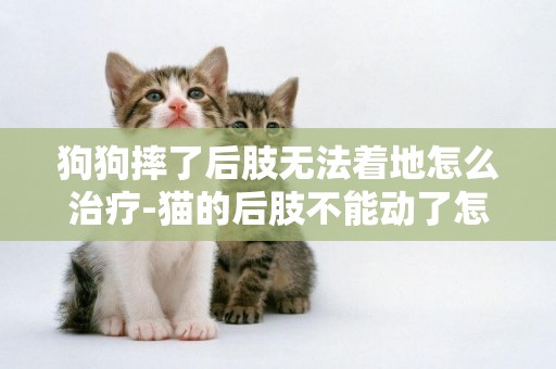 狗狗摔了后肢無法著地怎么治療-貓的后肢不能動了怎么治