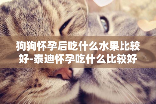狗狗懷孕后吃什么水果比較好-泰迪懷孕吃什么比較好