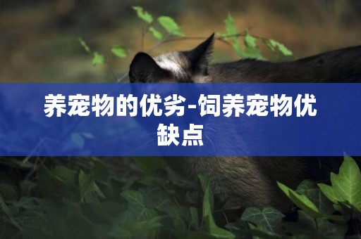 養寵物的優劣-飼養寵物優缺點