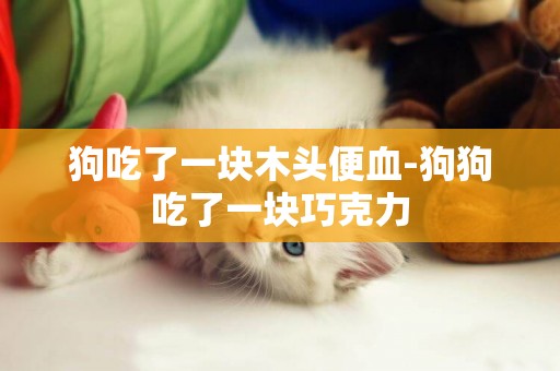 狗吃了一塊木頭便血-狗狗吃了一塊巧克力