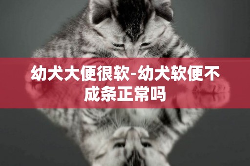 幼犬大便很軟-幼犬軟便不成條正常嗎