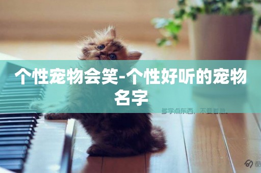 個性寵物會笑-個性好聽的寵物名字