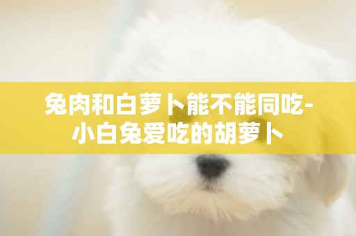 兔肉和白蘿卜能不能同吃-小白兔愛吃的胡蘿卜
