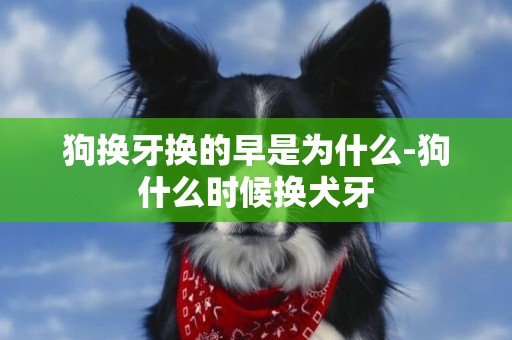 狗換牙換的早是為什么-狗什么時候換犬牙