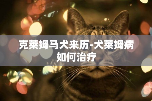 克萊姆馬犬來歷-犬萊姆病如何治療