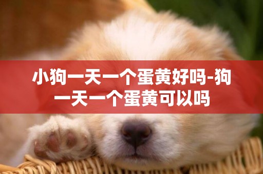 小狗一天一個蛋黃好嗎-狗一天一個蛋黃可以嗎