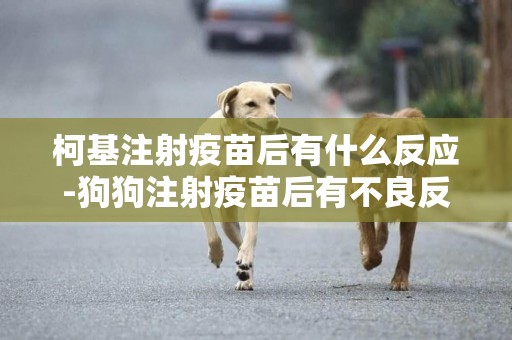 柯基注射疫苗后有什么反應-狗狗注射疫苗后有不良反應的原因分析