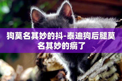 狗莫名其妙的抖-泰迪狗后腿莫名其妙的瘸了