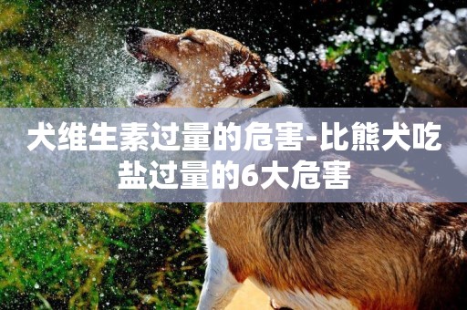 犬維生素過量的危害-比熊犬吃鹽過量的6大危害