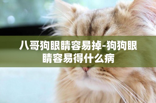 八哥狗眼睛容易掉-狗狗眼睛容易得什么病