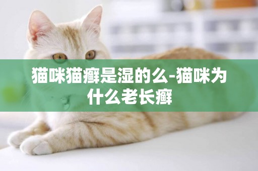 貓咪貓癬是濕的么-貓咪為什么老長癬