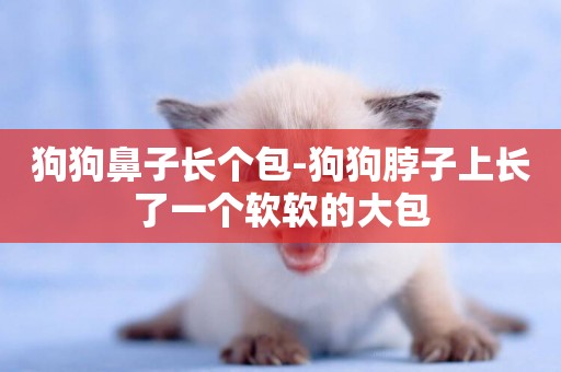 狗狗鼻子長個包-狗狗脖子上長了一個軟軟的大包