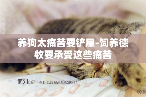 養狗太痛苦要鏟屎-飼養德牧要承受這些痛苦