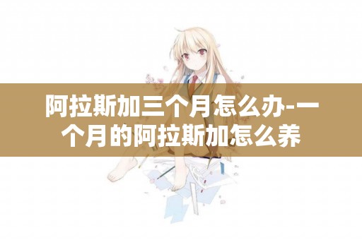 阿拉斯加三個月怎么辦-一個月的阿拉斯加怎么養