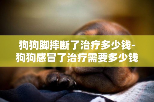 狗狗腳摔斷了治療多少錢-狗狗感冒了治療需要多少錢