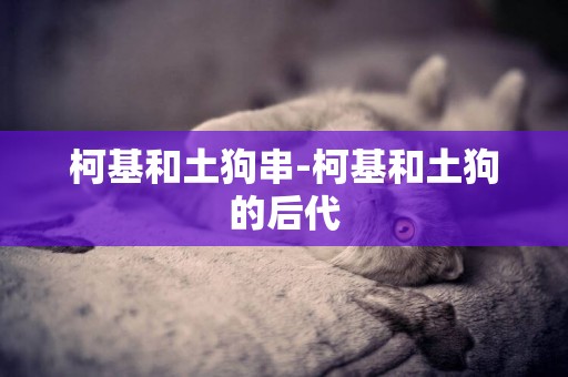 柯基和土狗串-柯基和土狗的后代