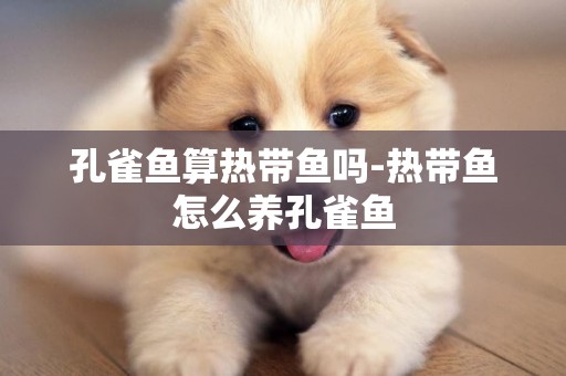 孔雀魚算熱帶魚嗎-熱帶魚怎么養孔雀魚