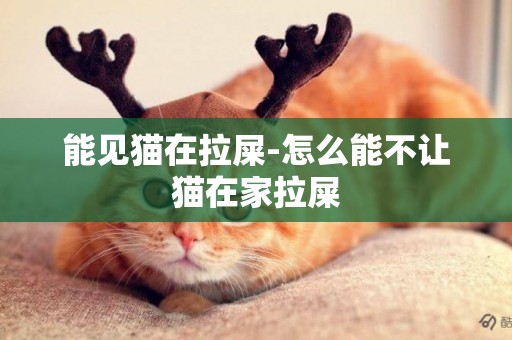 能見貓在拉屎-怎么能不讓貓在家拉屎