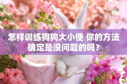 怎樣訓練狗狗大小便 你的方法確定是沒問題的嗎？