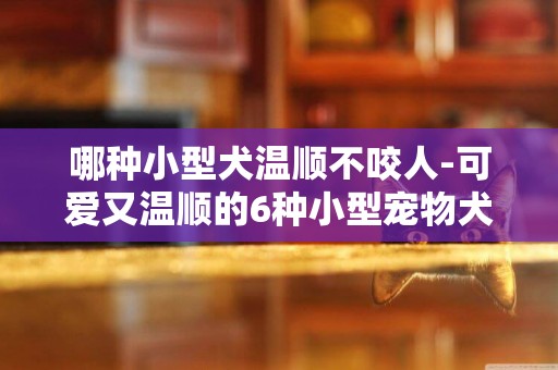 哪種小型犬溫順不咬人-可愛又溫順的6種小型寵物犬