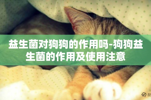 益生菌對狗狗的作用嗎-狗狗益生菌的作用及使用注意