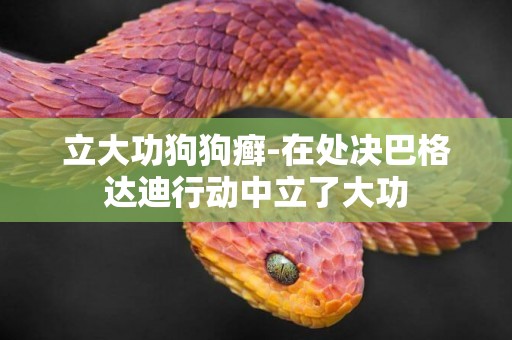 立大功狗狗癬-在處決巴格達迪行動中立了大功