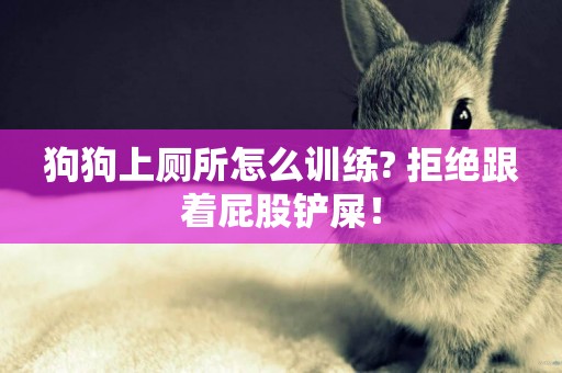 狗狗上廁所怎么訓練? 拒絕跟著屁股鏟屎！
