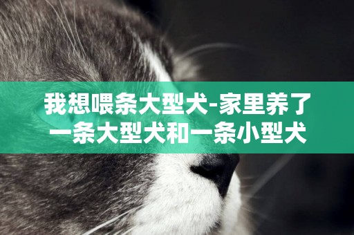我想喂條大型犬-家里養了一條大型犬和一條小型犬