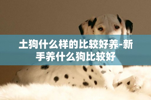 土狗什么樣的比較好養-新手養什么狗比較好