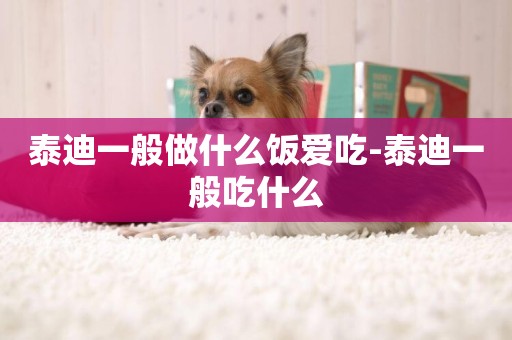 泰迪一般做什么飯愛吃-泰迪一般吃什么