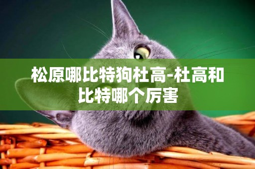 松原哪比特狗杜高-杜高和比特哪個厲害