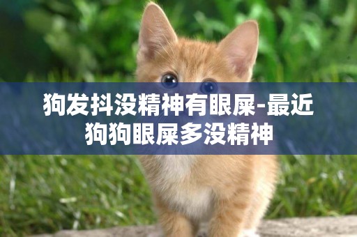 狗發抖沒精神有眼屎-最近狗狗眼屎多沒精神