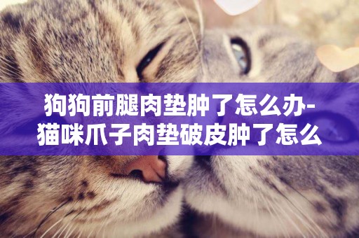 狗狗前腿肉墊腫了怎么辦-貓咪爪子肉墊破皮腫了怎么辦