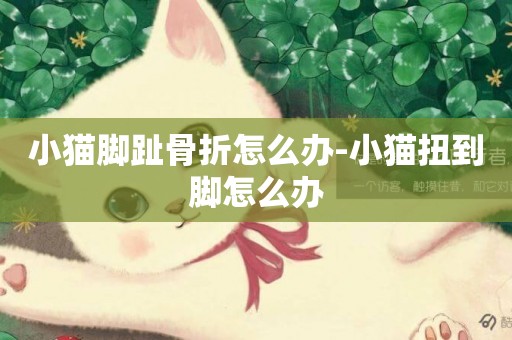 小貓腳趾骨折怎么辦-小貓扭到腳怎么辦