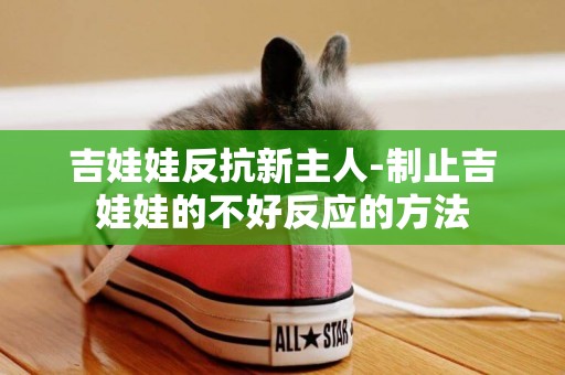 吉娃娃反抗新主人-制止吉娃娃的不好反應的方法