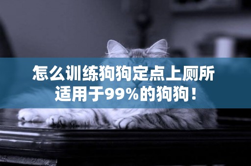怎么訓練狗狗定點上廁所 適用于99%的狗狗！